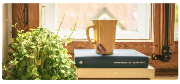 A mug of tea sits on a stack of books in a window sill next to a green plant.